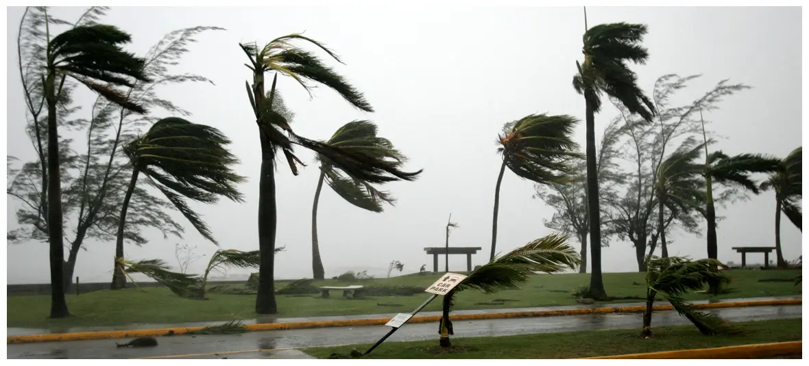 Ancraophobia (Fear of Wind)