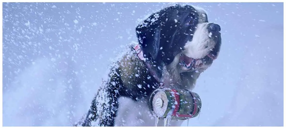 Avoid alcohol during blizzards