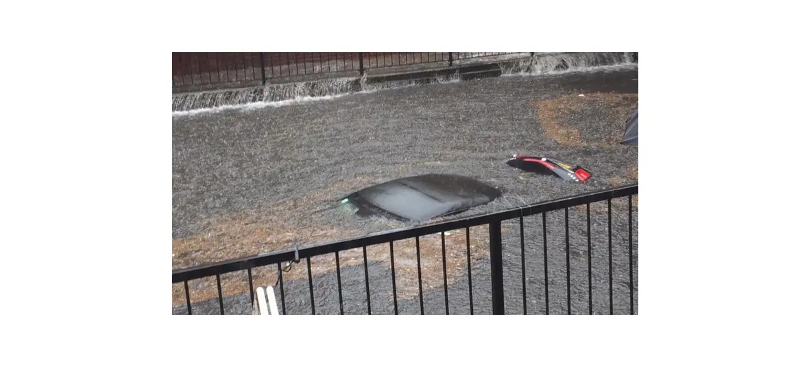 Cars Swamped