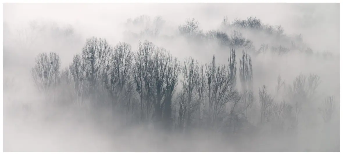 Homichlophobia (Fear of Fog)