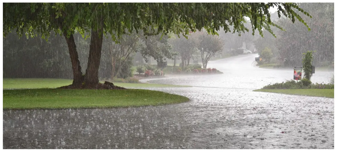 Ombrophobia (Fear of Rain)