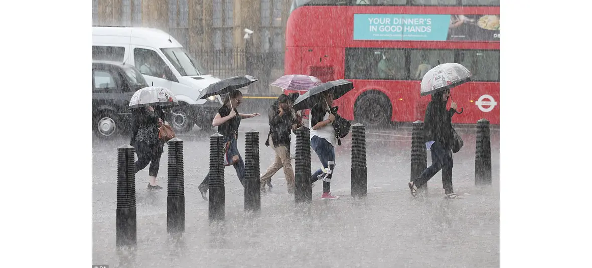 Umbrellas Unleashed